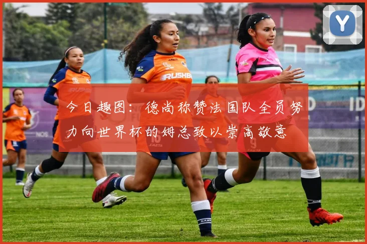 今日趣图：德尚称赞法国队全员努力向世界杯的姆总致以崇高敬意